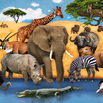 Tiere in Afrika
Suche Mimba, die Schlange Tiere in Afrika
Suche Mimba, die Schlange